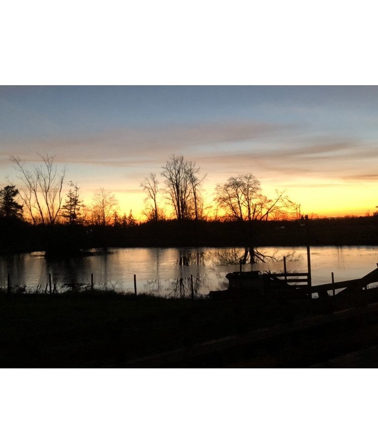 1883 Burk Road Blaine, WA 98230 - Photo 22 of 22