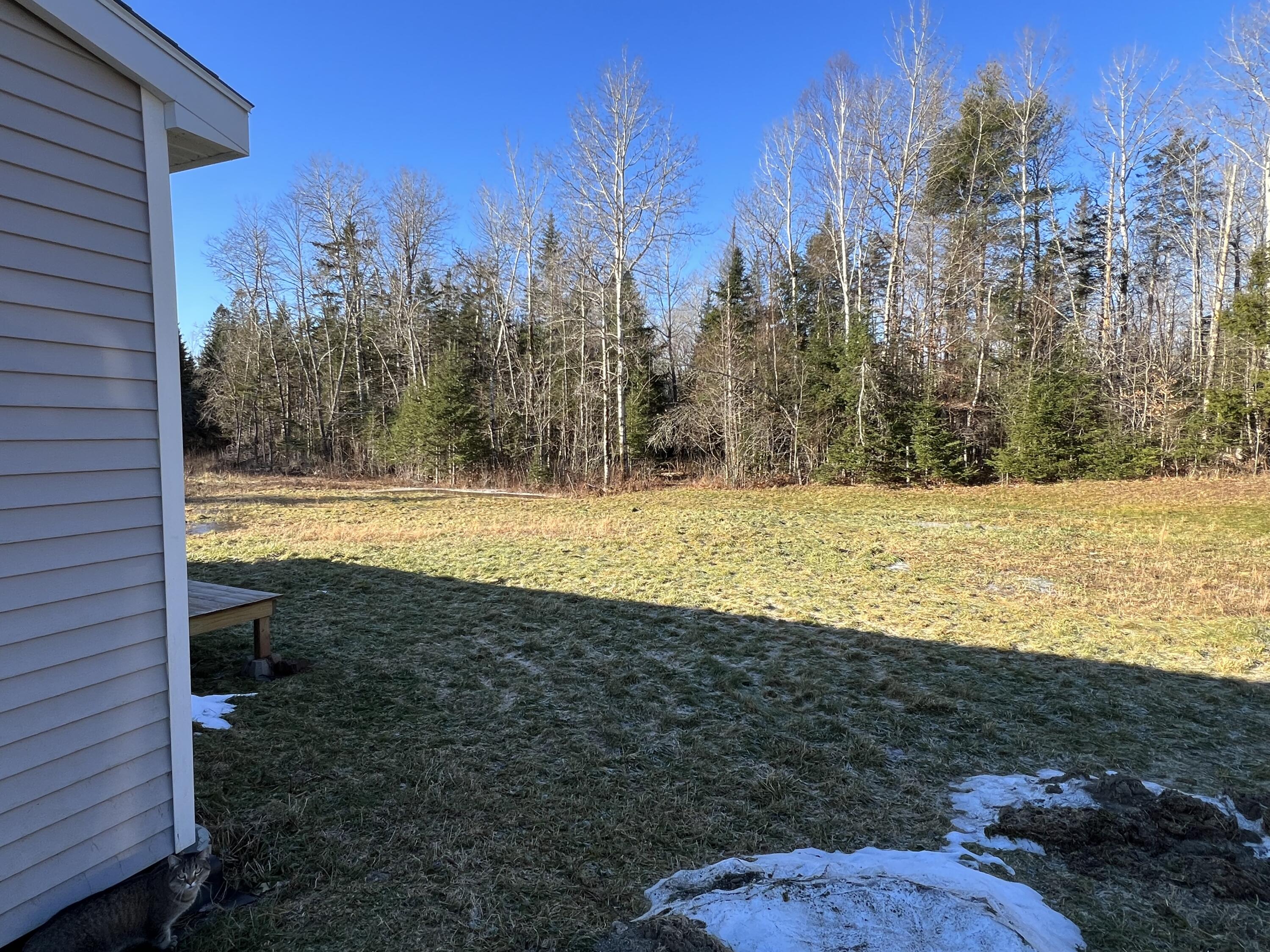 1680 Park Street Springfield, ME 04487 - Photo 13 of 18 IMG_9703