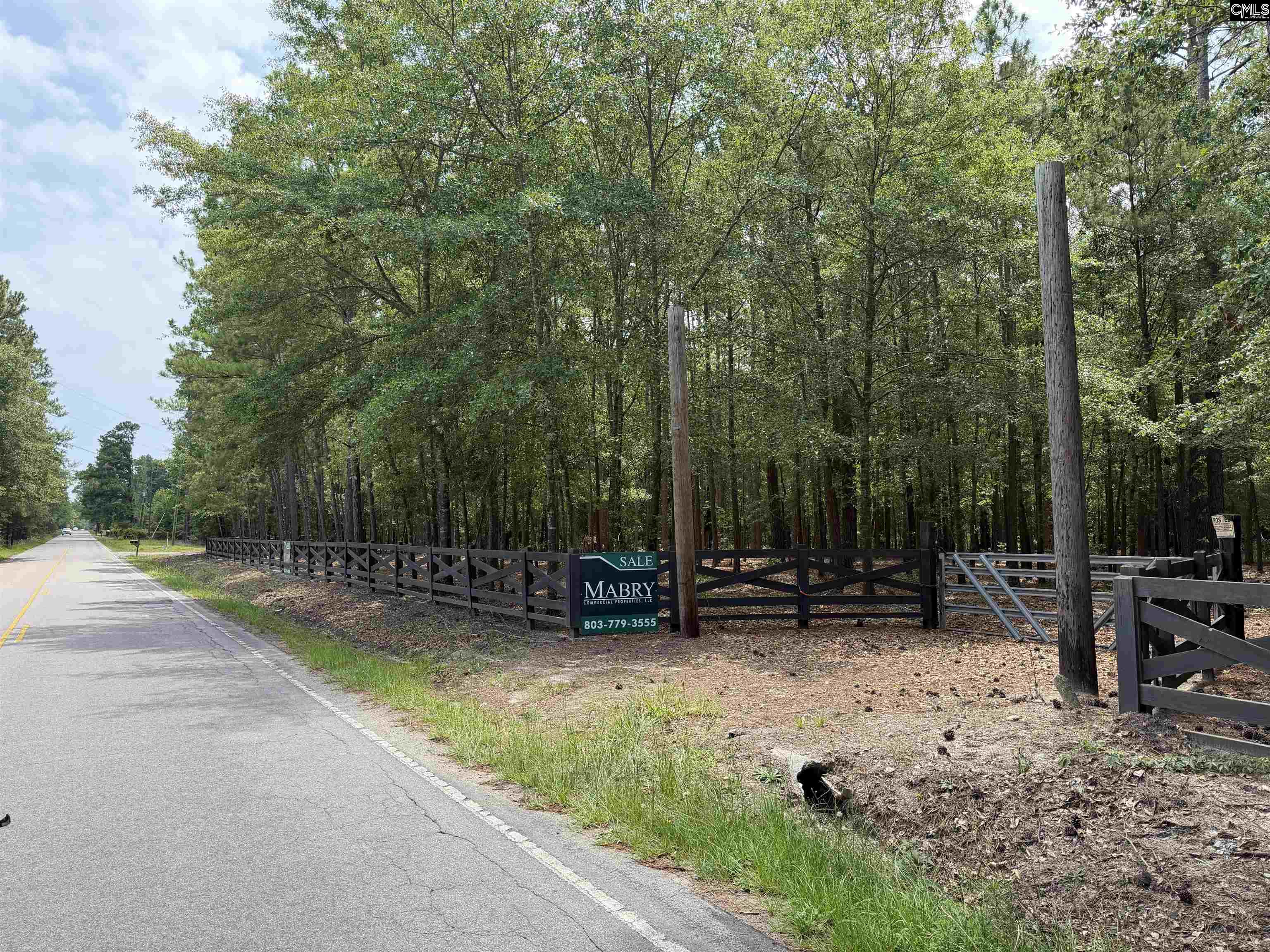 812 Sandfield Road Blythewood, SC 29016 - Photo 19 of 25
