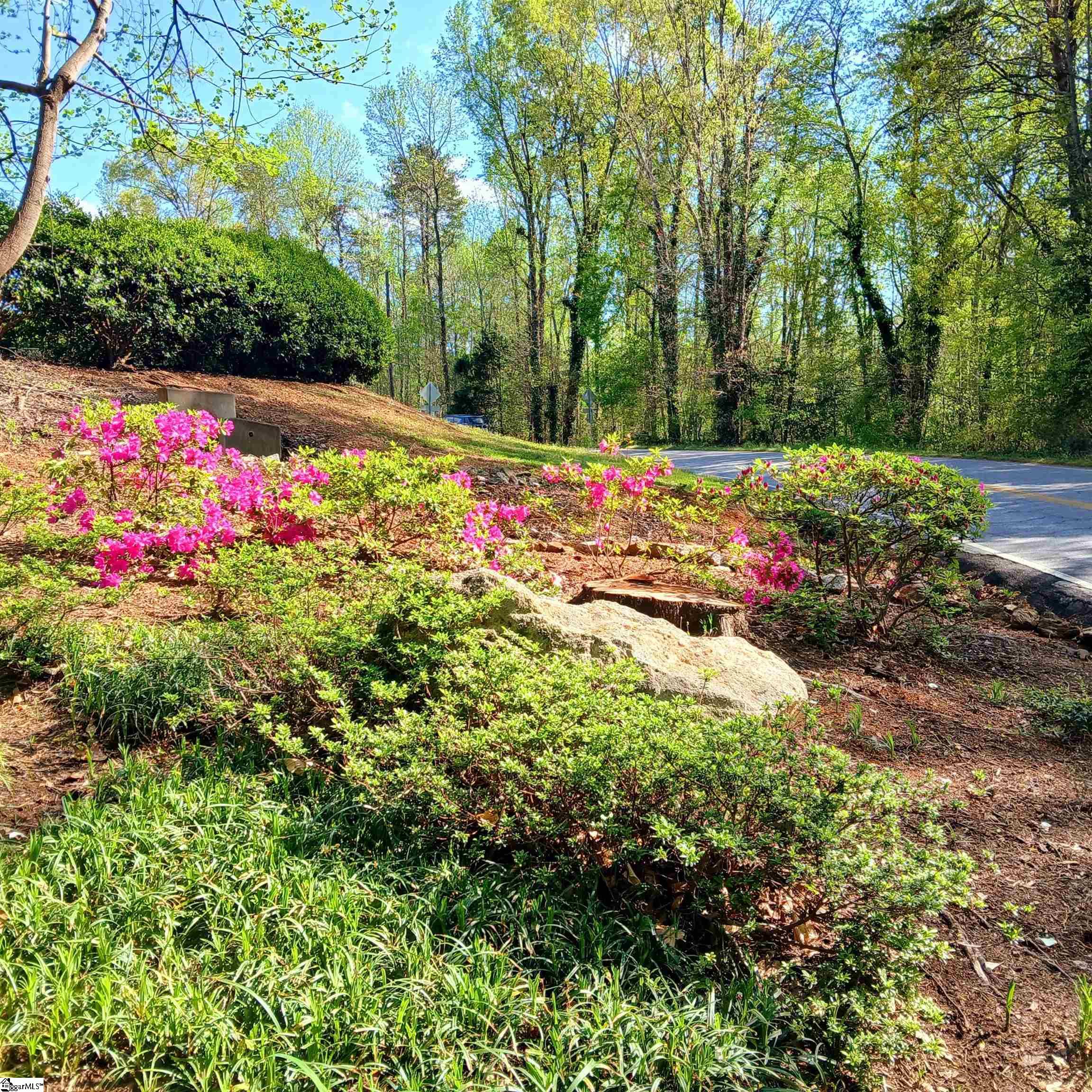 4 Creekside Way Greenville, SC 29609 - Photo 3 of 50