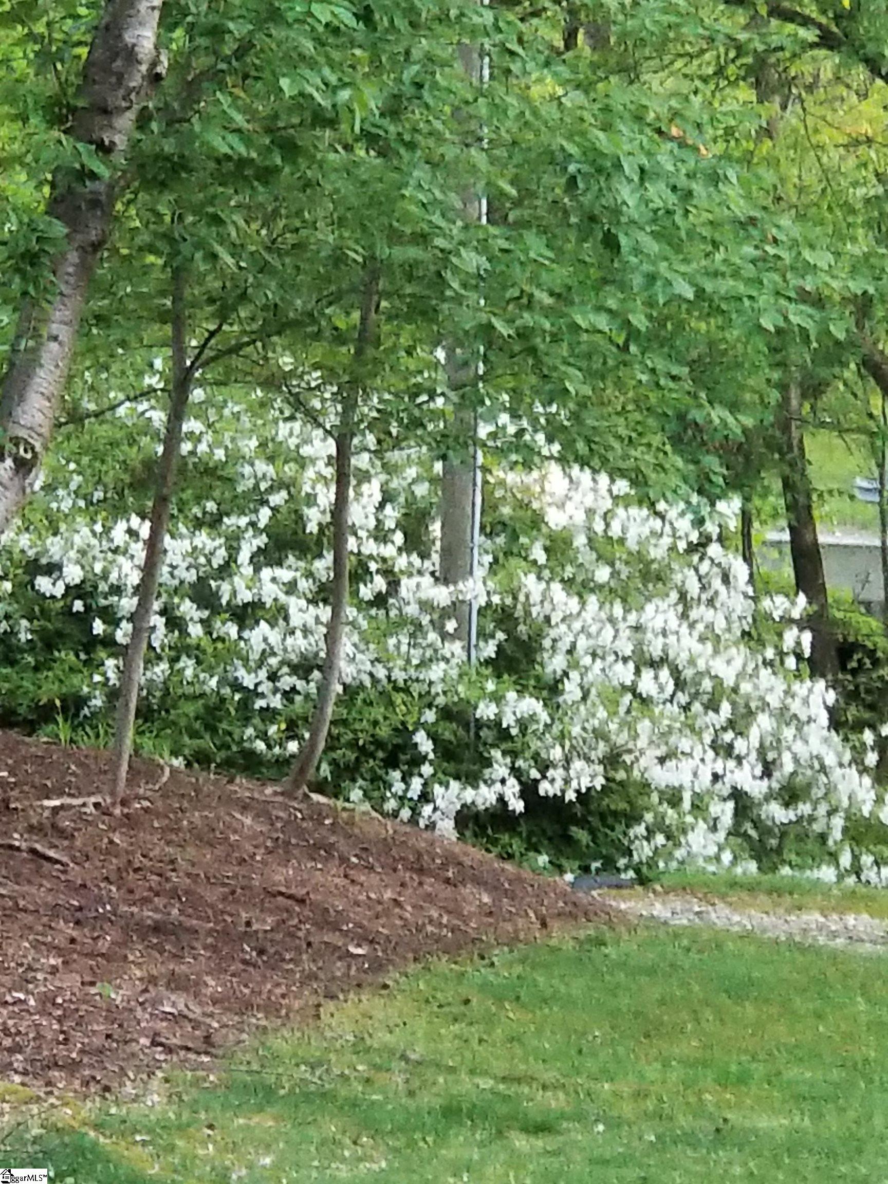 4 Creekside Way Greenville, SC 29609 - Photo 5 of 50