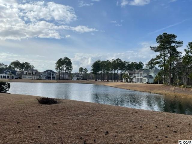 1123 Fiddlehead Way Myrtle Beach, SC 29579 - Photo 1 of 20 Gallery Image 1