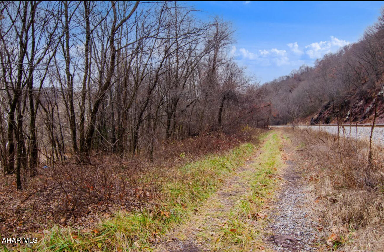 0 Gooseberry Road Hyndman, PA 15545 - Photo 11 of 26