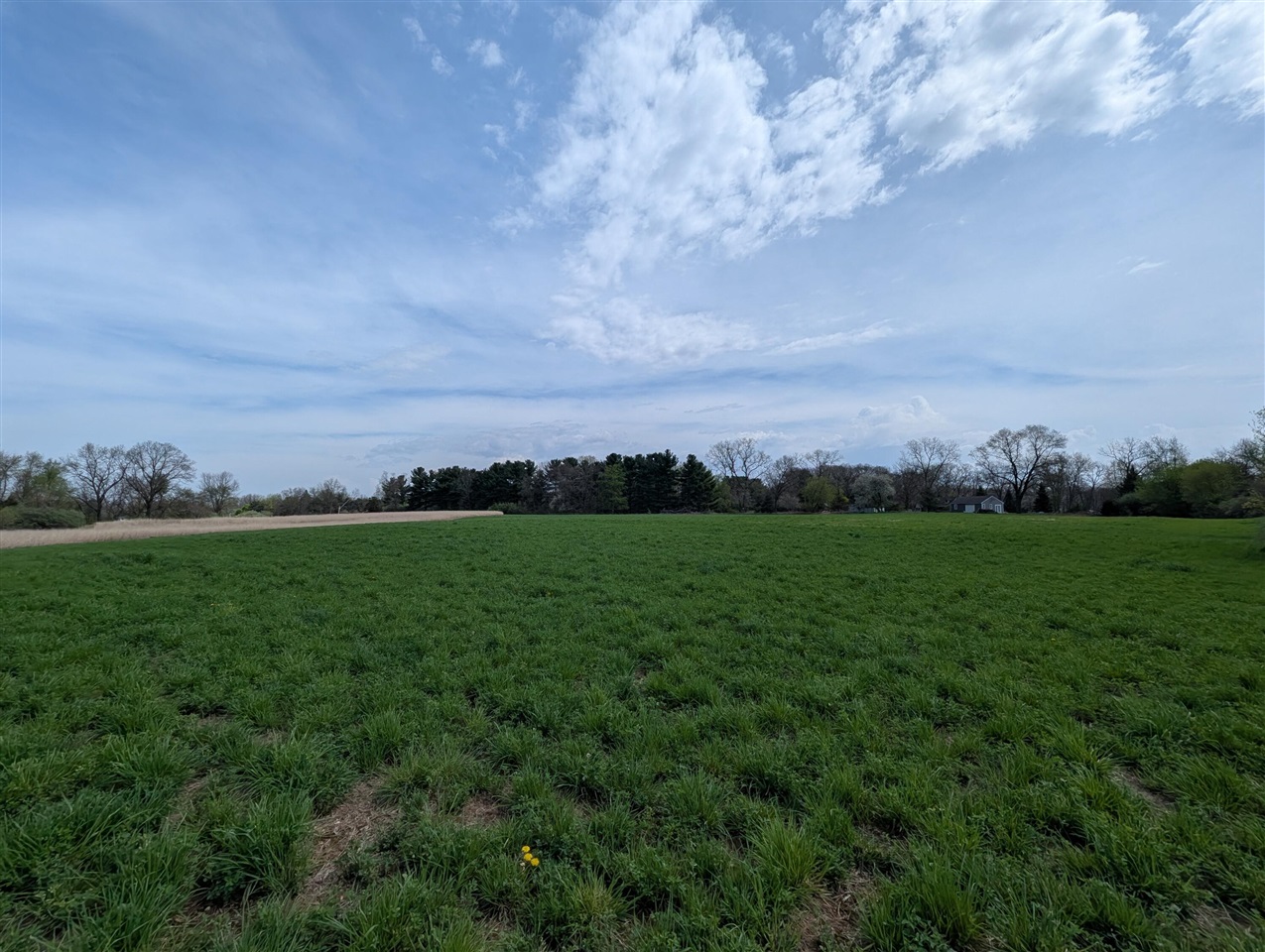 V/l V/l M-50 Road Jackson, MI 49201 - Photo 15 of 20