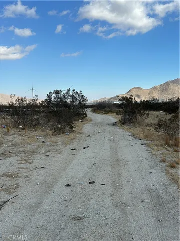 a view of a dry field with trees in the background