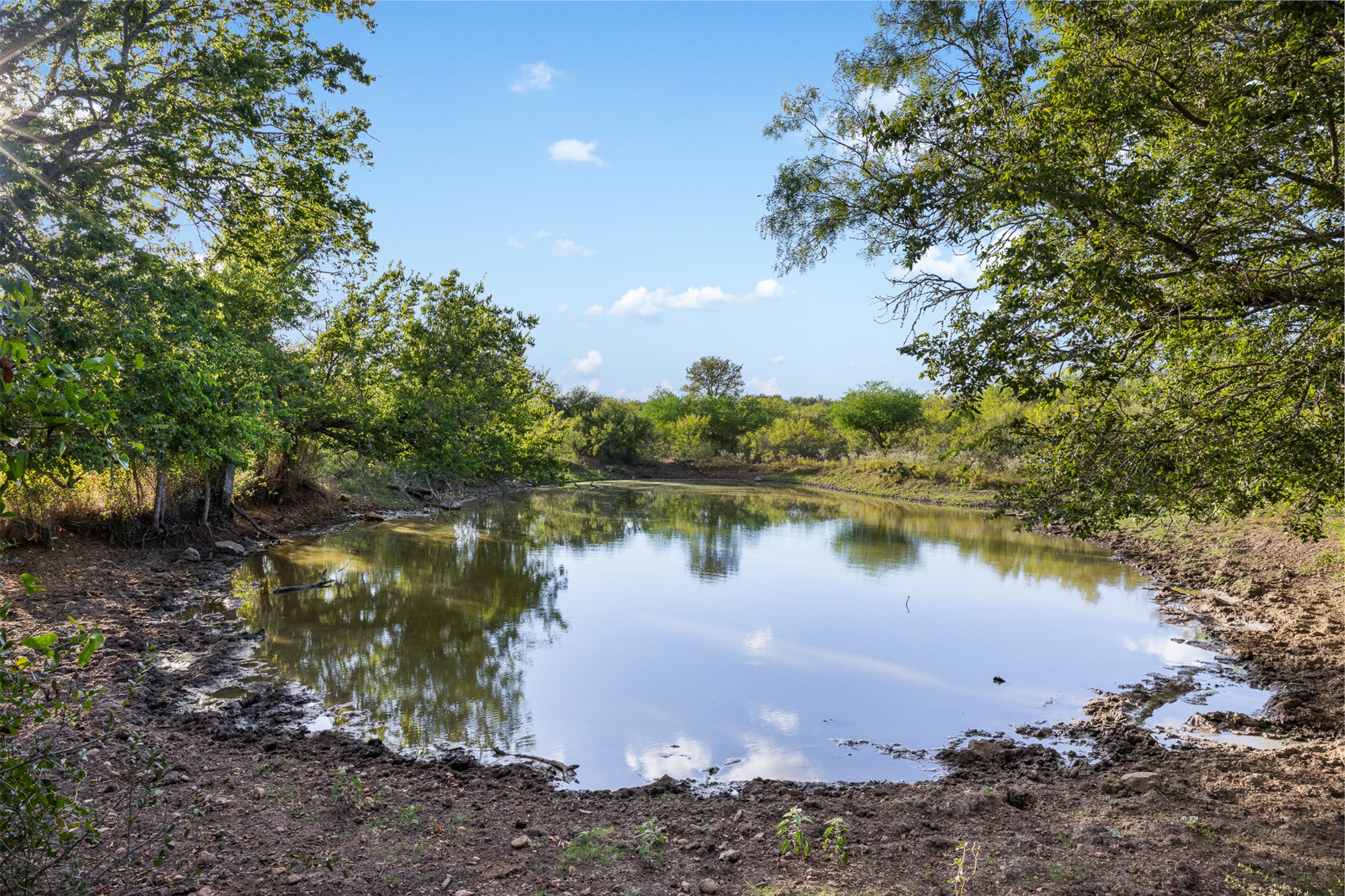 399 Seals Creek Road Lockhart, TX 78644 - Photo 11 of 40 Water view with a heavily wooded area