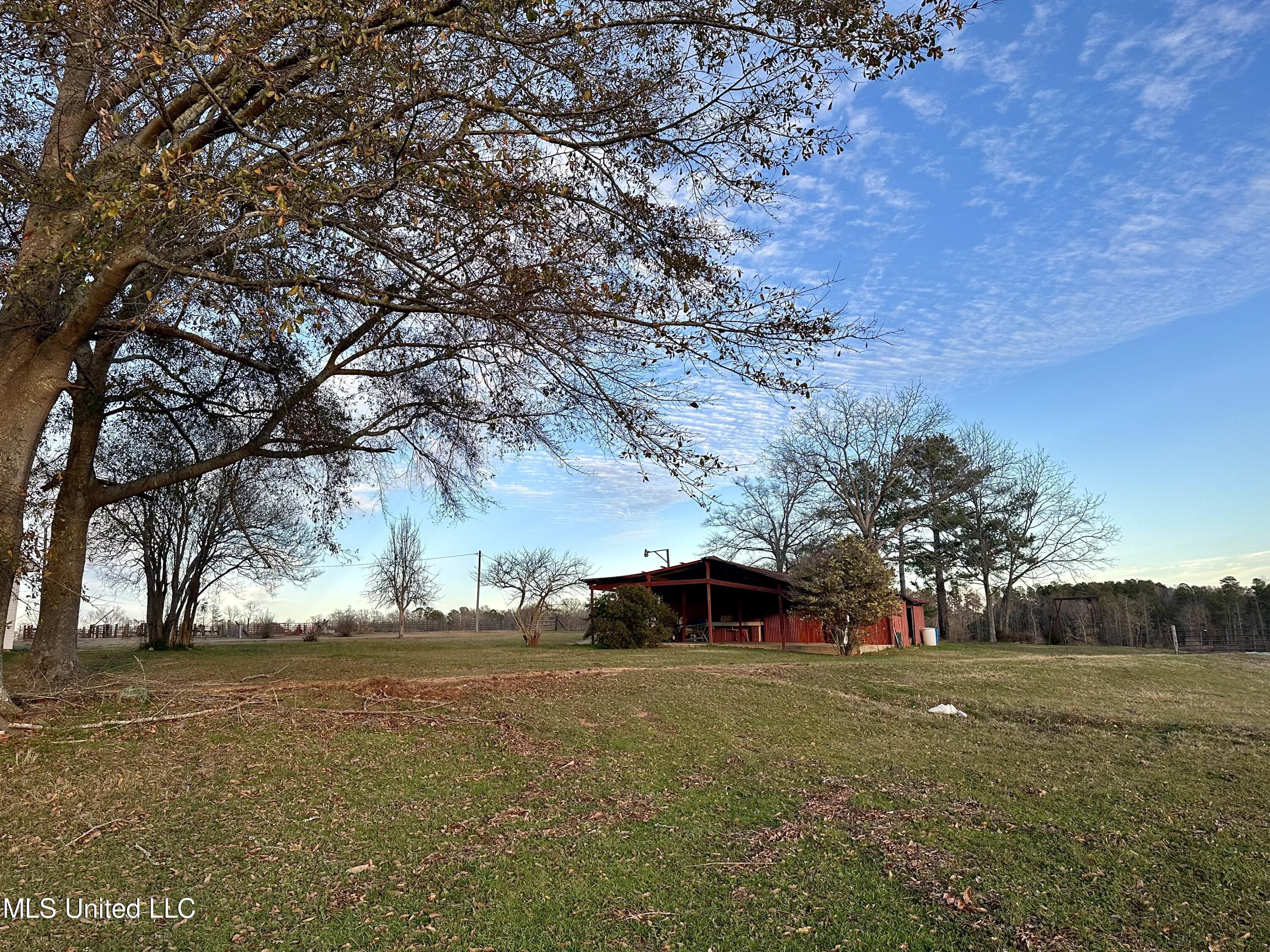 264 John Meadows Road Magee, MS 39111 - Photo 10 of 25 IMG_0128