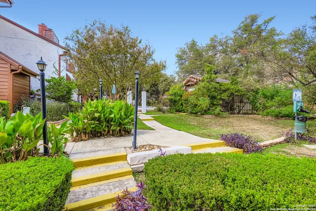 a view of a backyard with plants and palm tree