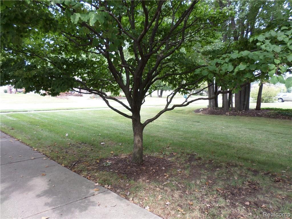 38146 Westchester Road Sterling Heights, MI 48310 - Photo 4 of 54 Front4.JPG