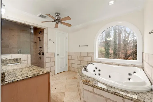 a bathroom with a bathtub and a shower