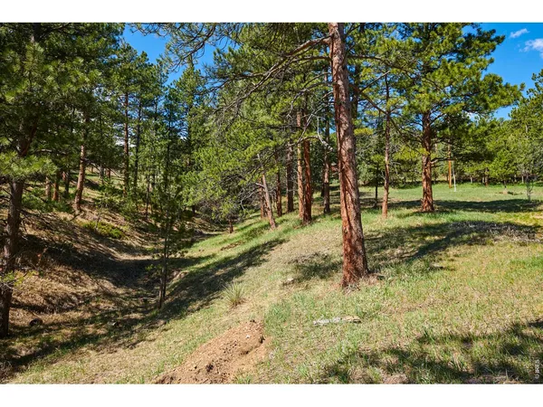 $95,000 | 485 Kelly Road East, Boulder, CO 80302