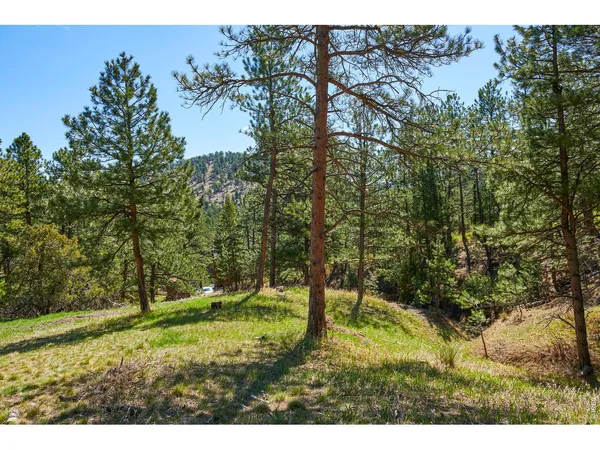 $95,000 | 485 Kelly Road East, Boulder, CO 80302