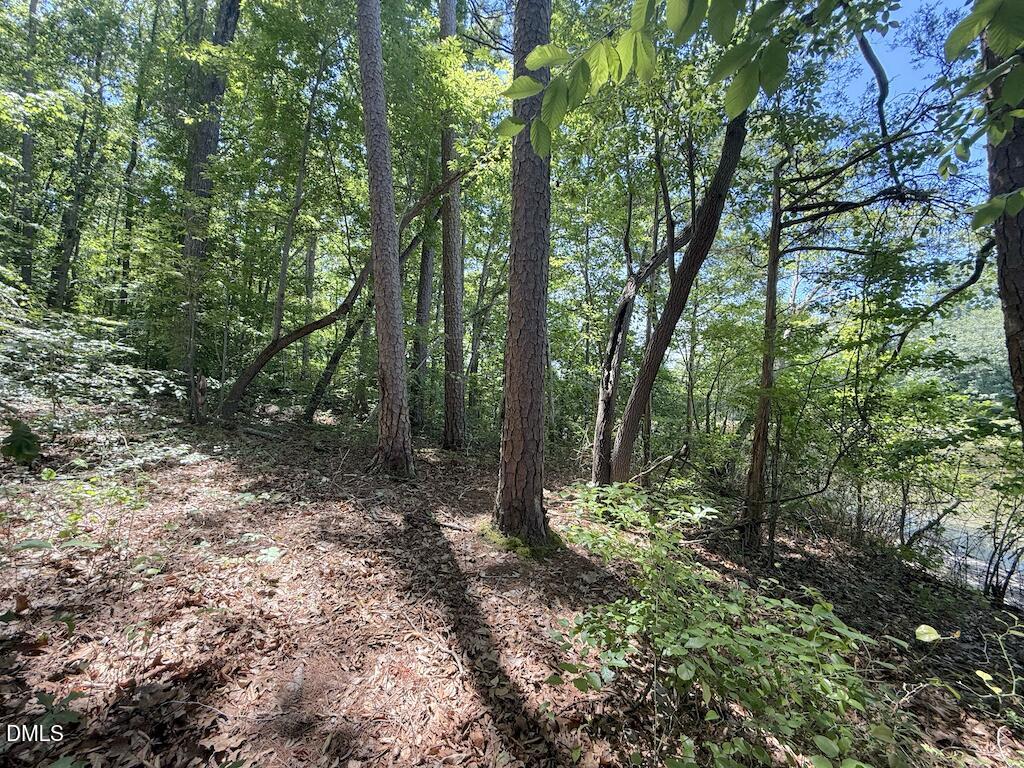 0 Buttonwood Lane Roxboro, NC 27574 - Photo 25 of 36