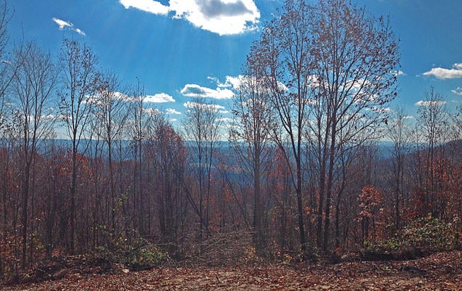 Boyd Road Greenville, WV 24945 - Photo 1 of 14 Gallery Image 1