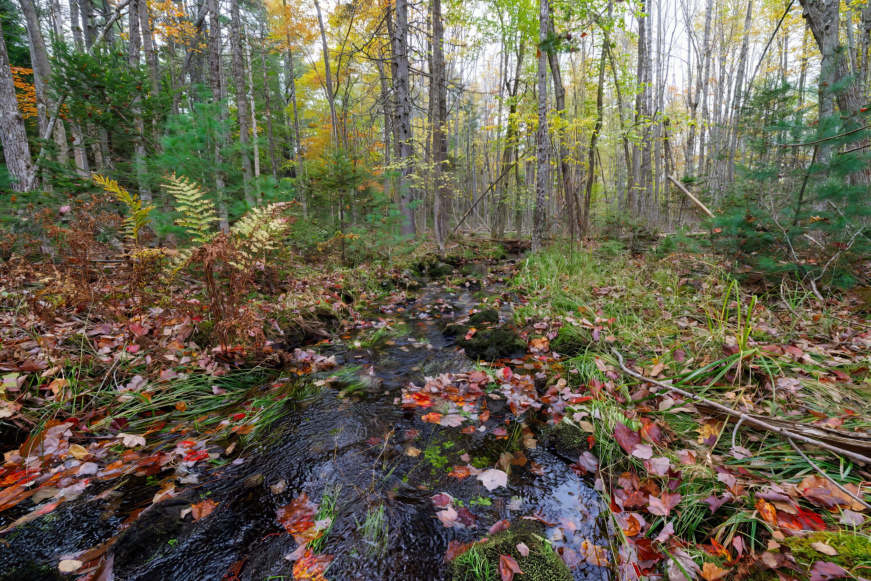 179 Betts Road Orrington, ME 04474 - Photo 71 of 100 69-Brook on Property 179 Betts Road HiRe