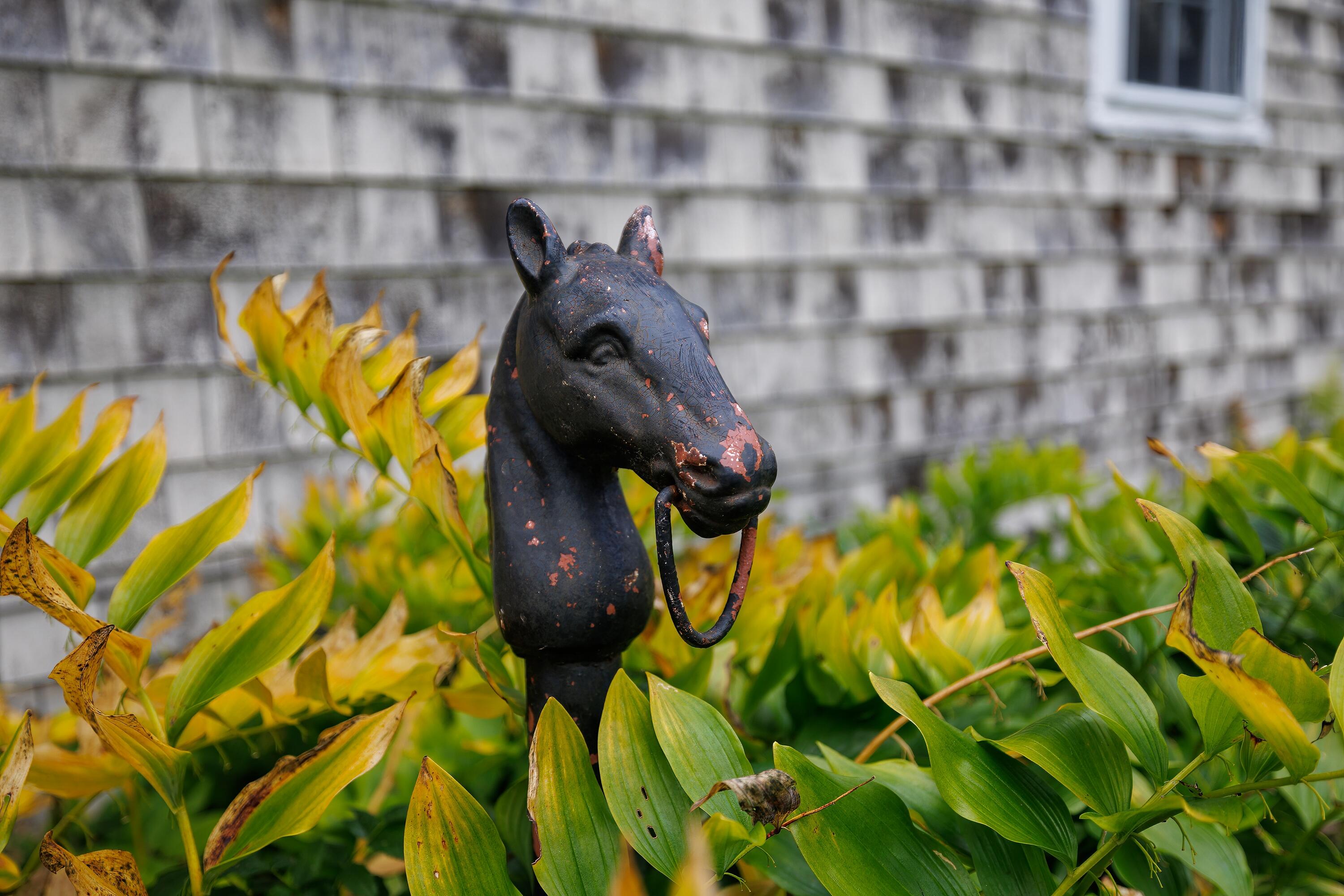 179 Betts Road Orrington, ME 04474 - Photo 74 of 100 72-179 Betts Road HiRes-DTP