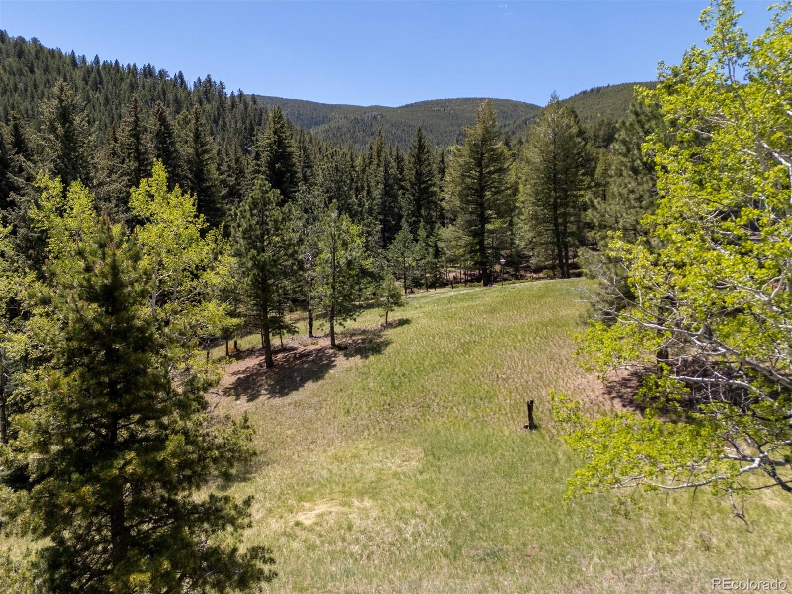 1323 South Snyder Gulch Road Evergreen, CO 80439 - Photo 9 of 47 a view of mountain view with mountains in the background