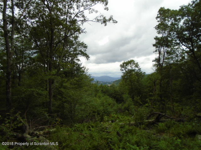 Summit Woods Road Moscow, PA 18444 - Photo 1 of 4 L44 Picture