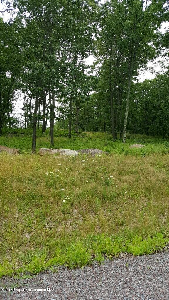 Summit Woods Road Moscow, PA 18444 - Photo 4 of 4 L44 View 2
