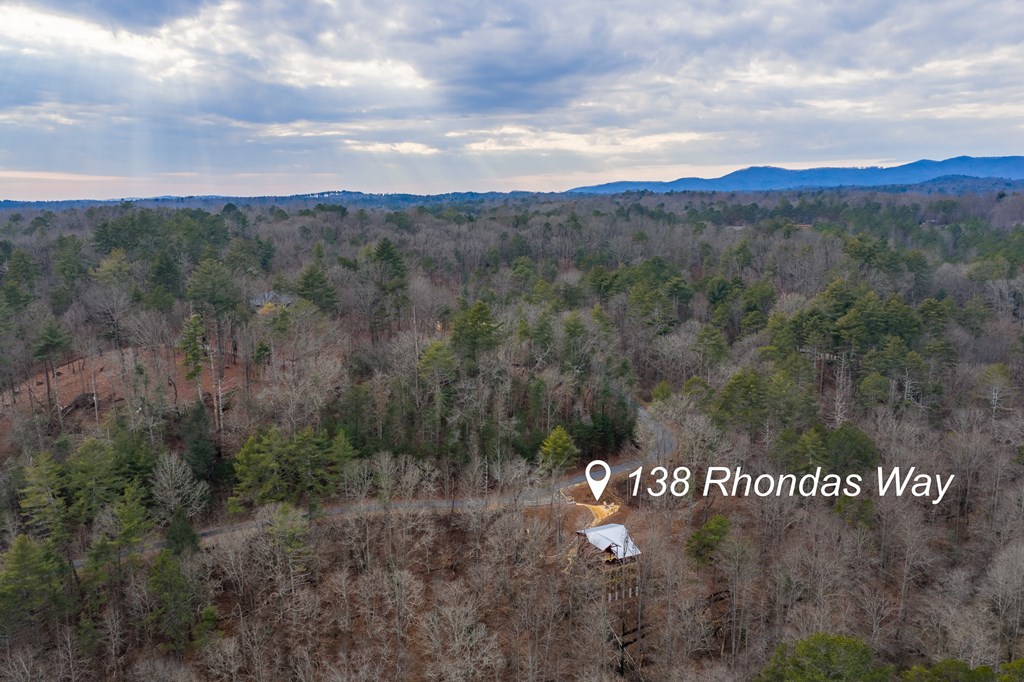 138 Rhondas Way Ellijay, GA 30540 - Photo 30 of 32