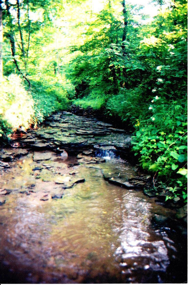 161 Tom Stamper Road Frenchburg, KY 40322 - Photo 17 of 24 Photo 17