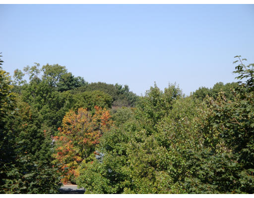 84 Walpole Street, Unit 3K Canton, MA 02021 - Photo 11 of 13 Gallery Image 11