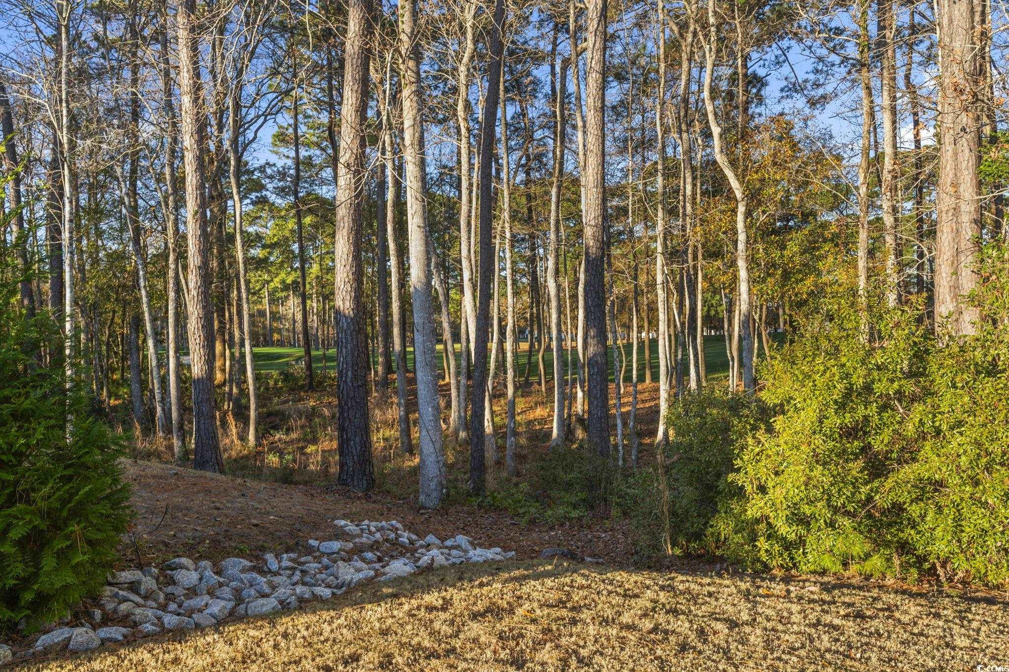 636 Elmwood Circle Murrells Inlet, SC 29576 - Photo 27 of 36 View of woods and TPC golf course