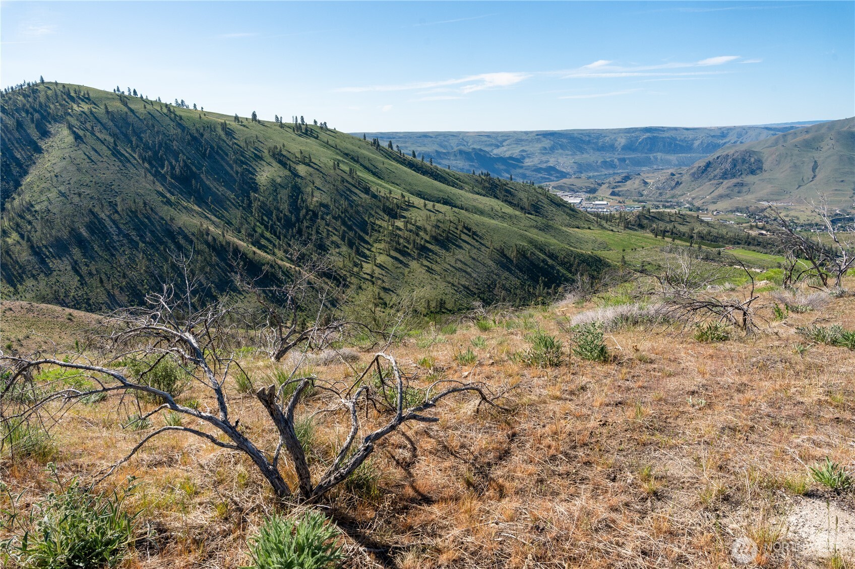 842 Cagle Gulch Road Chelan, WA 98816 - Photo 29 of 35 Gallery Image 29