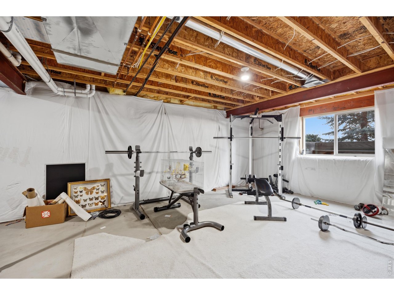 4220 Applegate Court Fort Collins, CO 80526 - Photo 35 of 45 Unfinished flex space