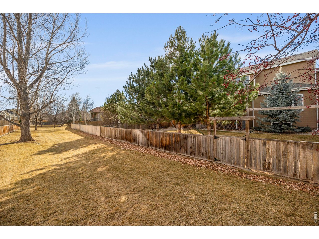 4220 Applegate Court Fort Collins, CO 80526 - Photo 40 of 45 Backyard