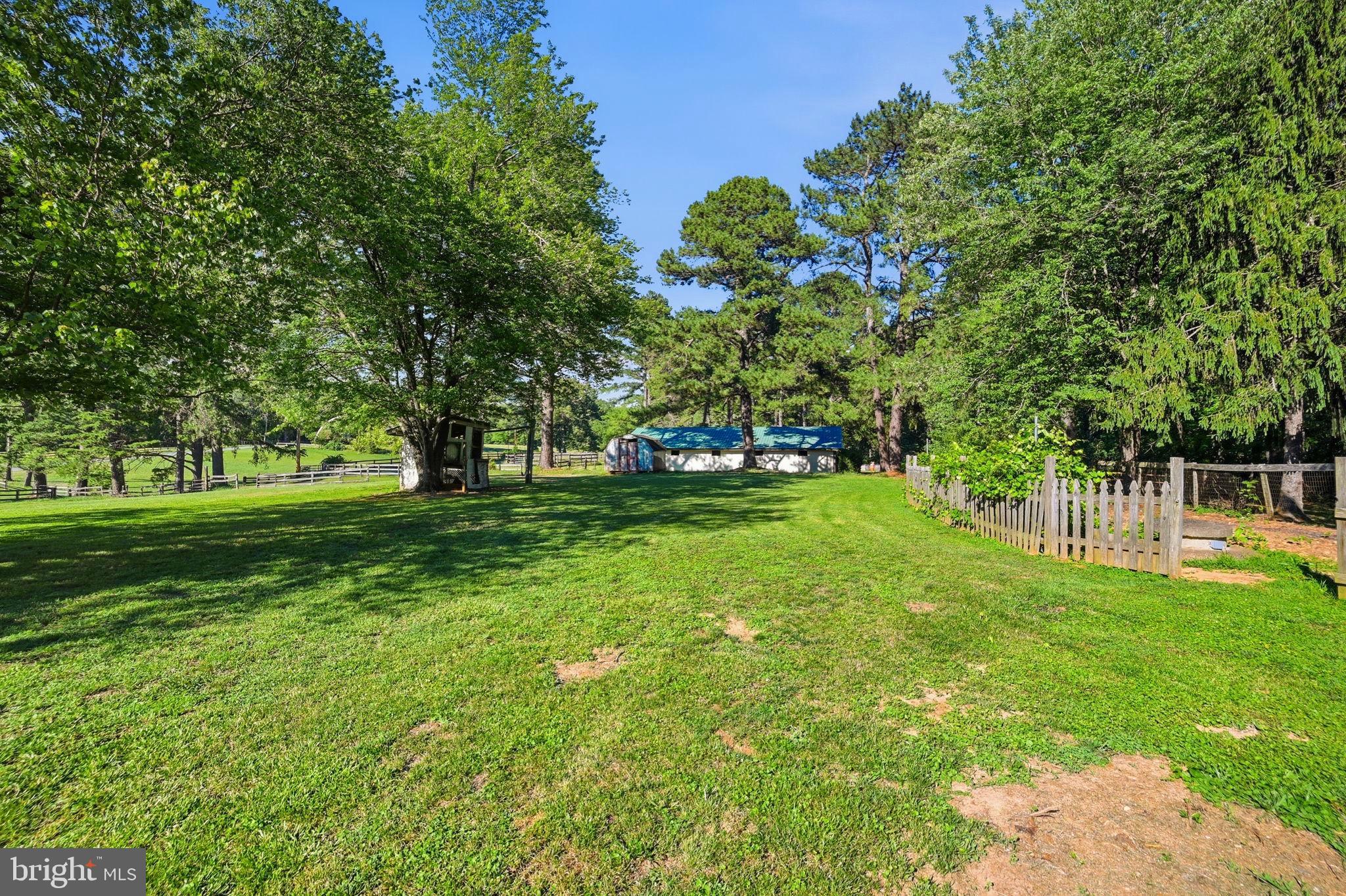 9337 Everona Road Unionville, VA 22567 - Photo 25 of 46 Backyard w/green space, lush trees and stable.