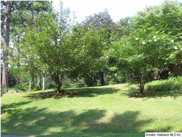5331 Caldwell Mill Road Birmingham, AL 35242 - Photo 2 of 14