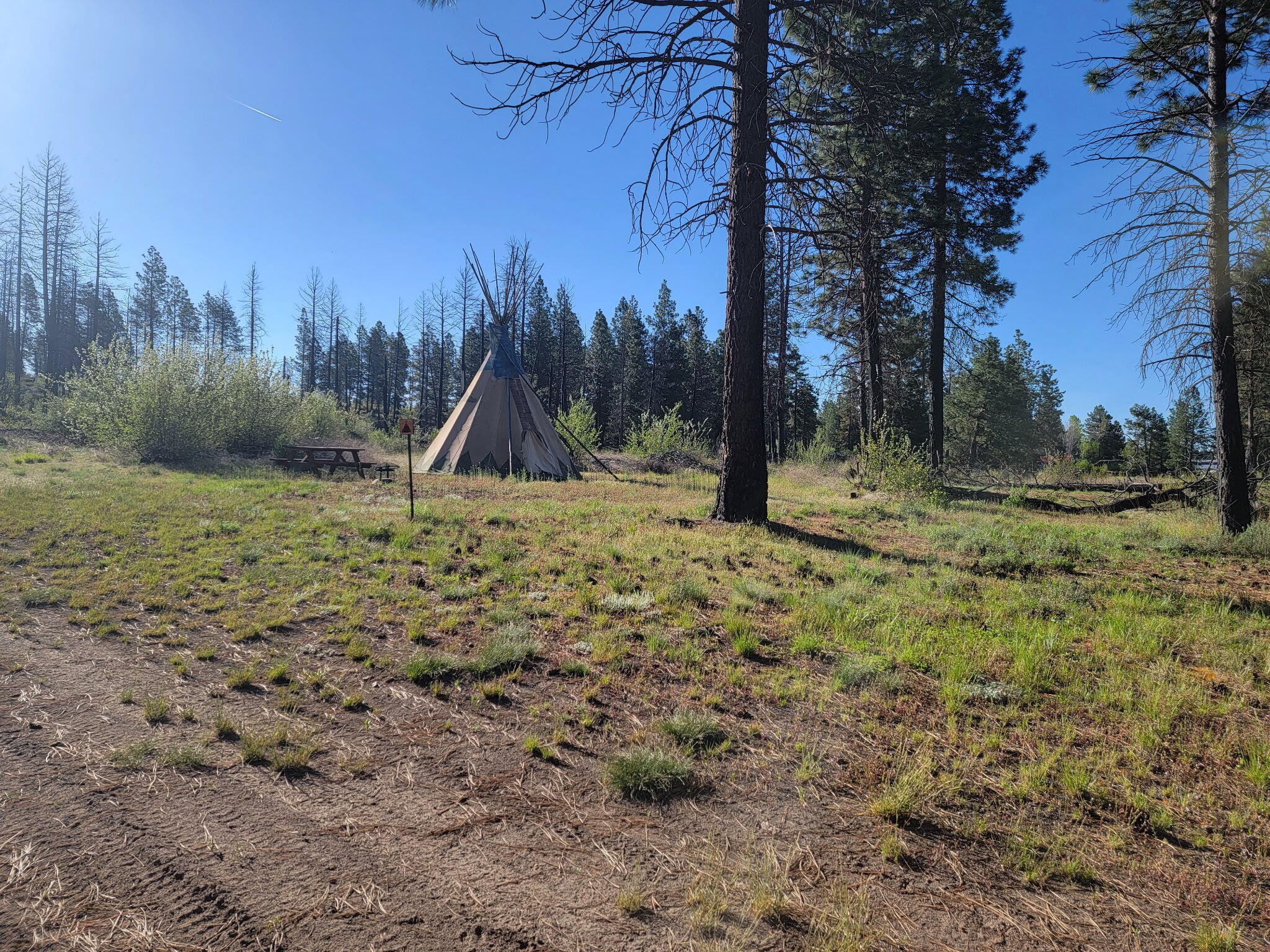 0 Oregon 62 Chiloquin, OR 97624 - Photo 18 of 42