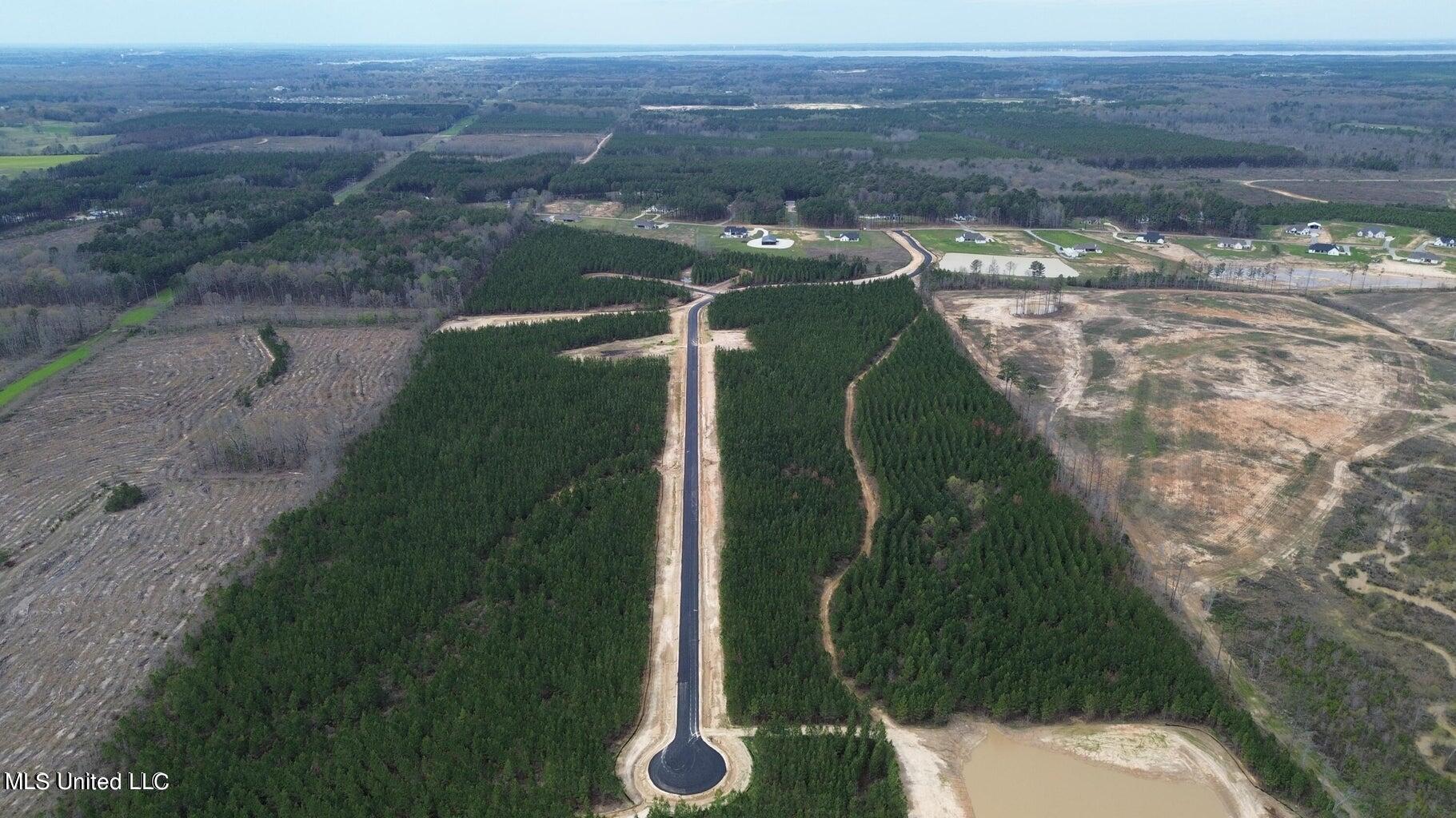 749 Freedom Ridge Lane Brandon, MS 39047 - Photo 1 of 23 20240321193755374005000000-o