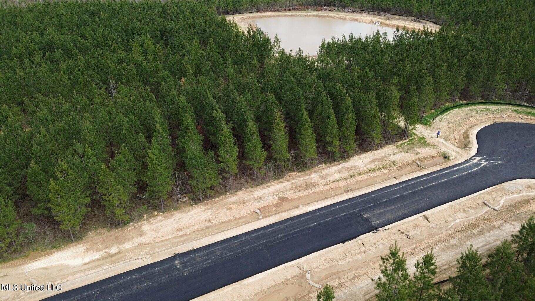 749 Freedom Ridge Lane Brandon, MS 39047 - Photo 18 of 23 20240321193816215931000000-o