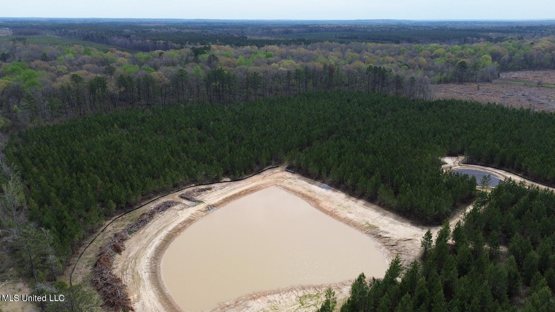 749 Freedom Ridge Lane Brandon, MS 39047 - Photo 19 of 23 20240321193817472550000000-o