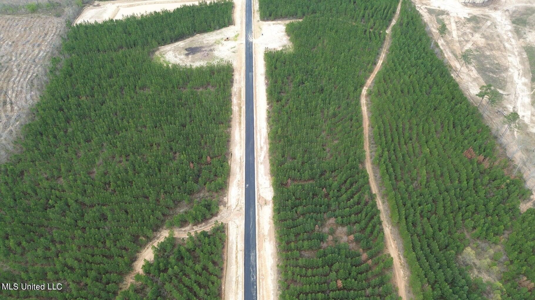 749 Freedom Ridge Lane Brandon, MS 39047 - Photo 4 of 23 20240321193758714497000000-o