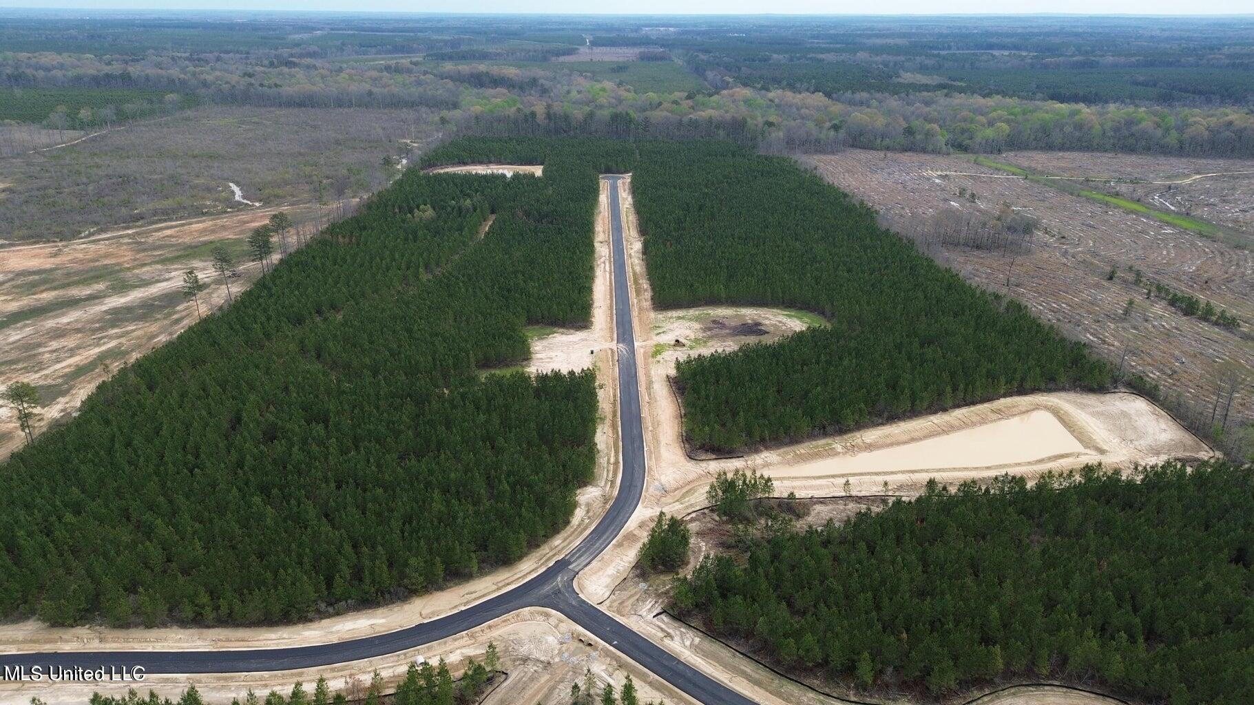 749 Freedom Ridge Lane Brandon, MS 39047 - Photo 7 of 23 20240321193802908474000000-o