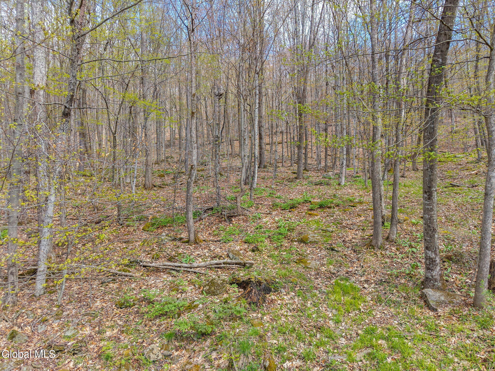 208 Dyer Road Jefferson, NY 12093 - Photo 41 of 49 46-208DyerRd_46