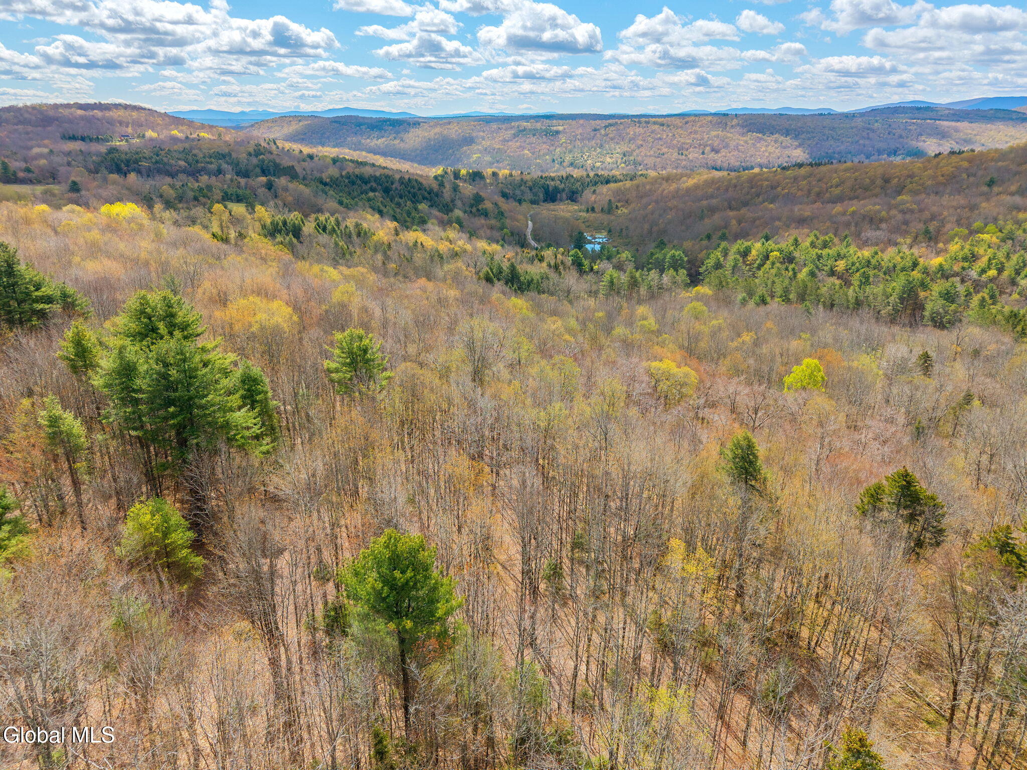 208 Dyer Road Jefferson, NY 12093 - Photo 45 of 49 42-208DyerRd_42
