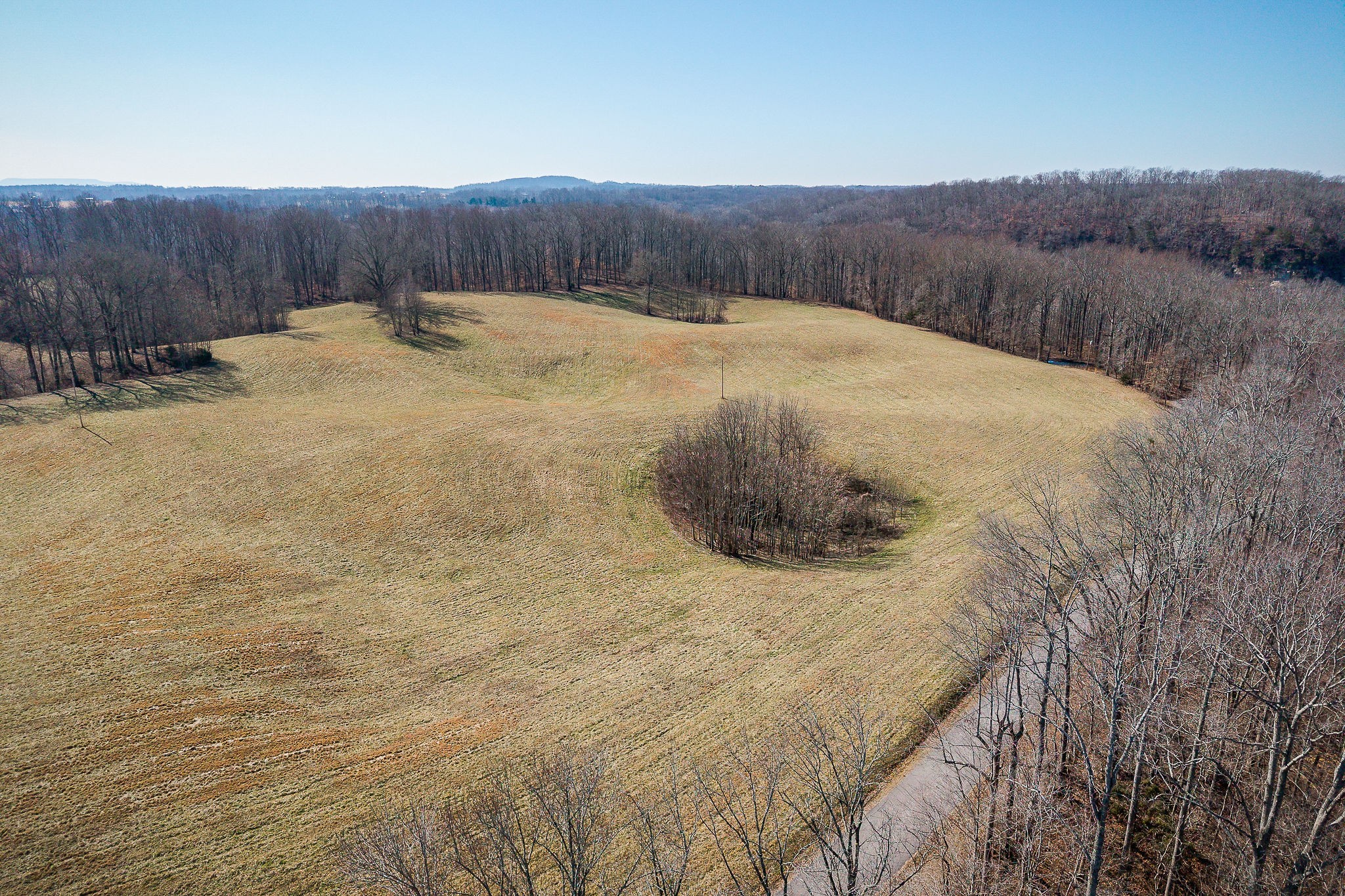 4291 Webbs Camp Road Walling, TN 38587 - Photo 19 of 90