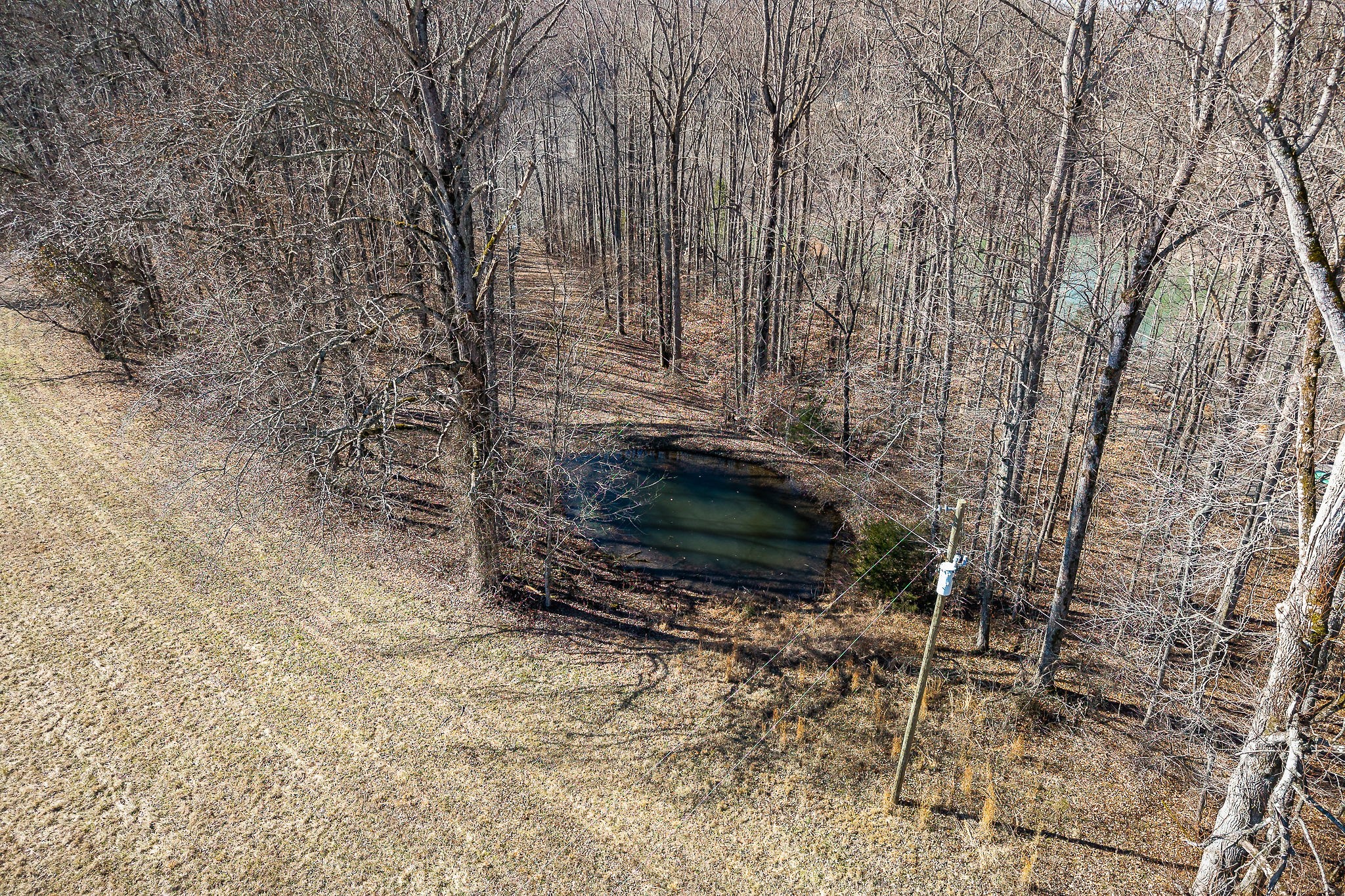 4291 Webbs Camp Road Walling, TN 38587 - Photo 20 of 90