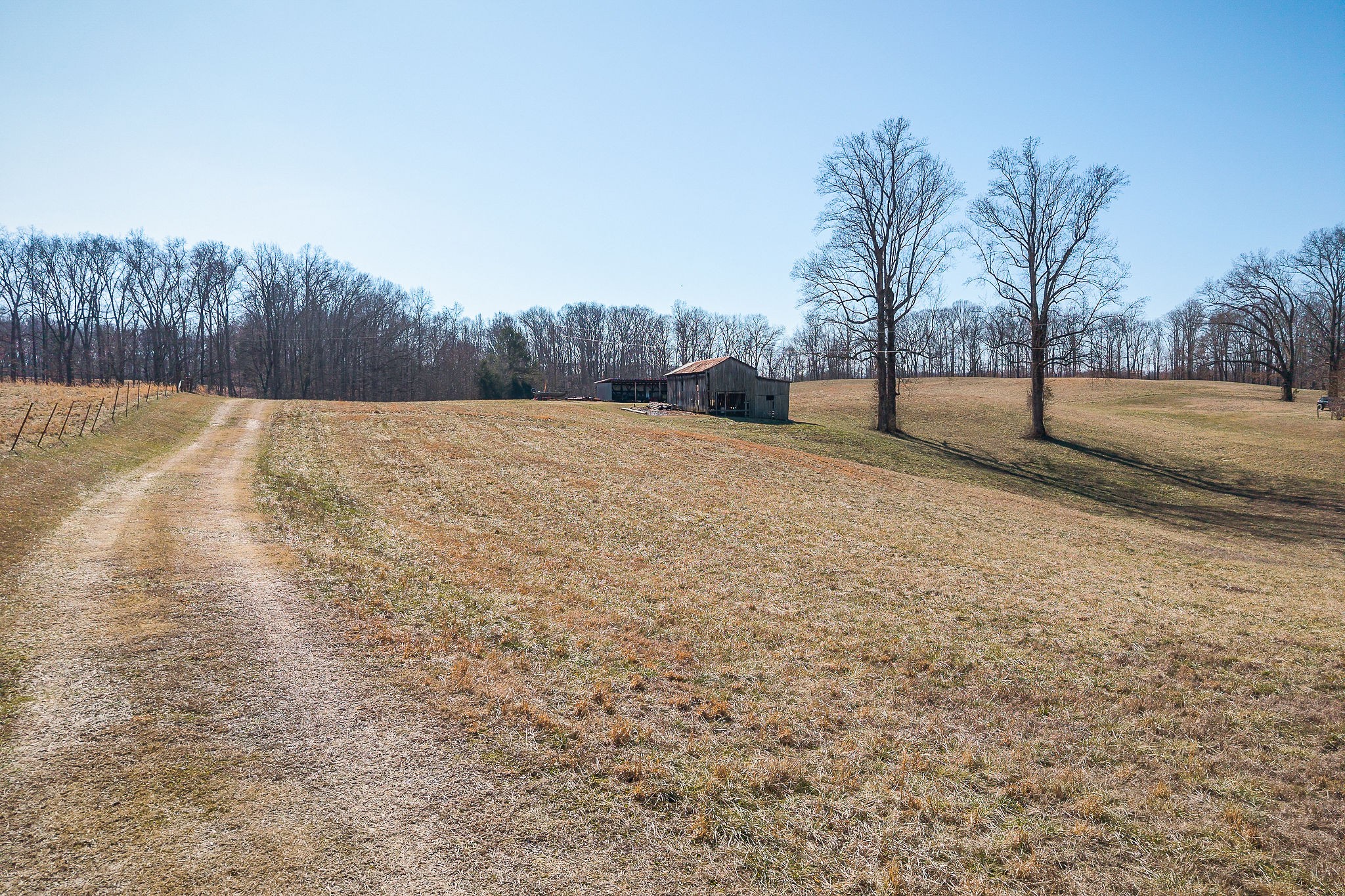4291 Webbs Camp Road Walling, TN 38587 - Photo 23 of 90