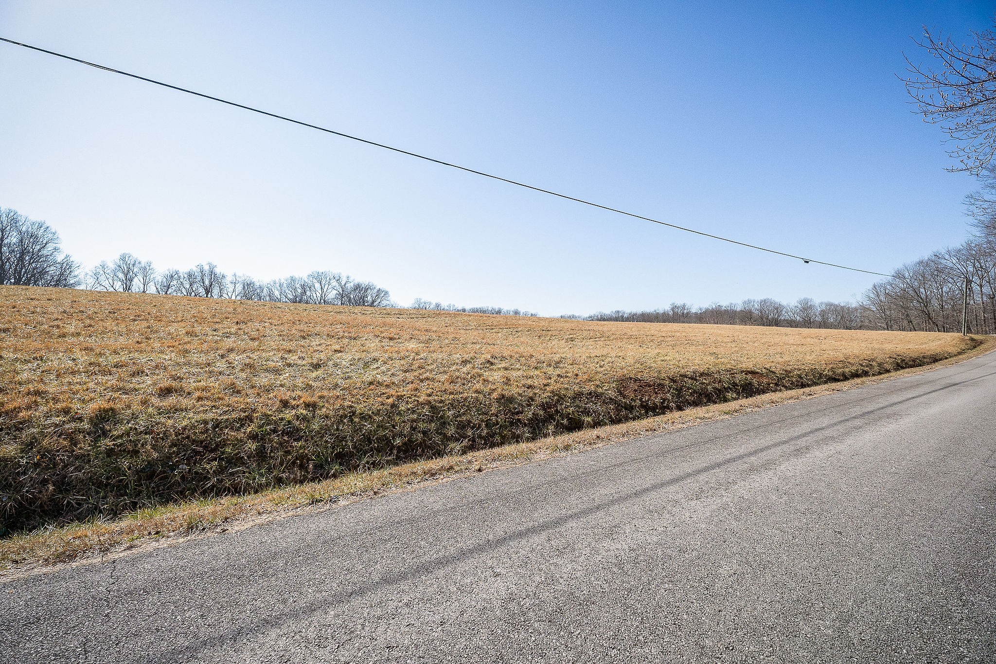 4291 Webbs Camp Road Walling, TN 38587 - Photo 29 of 90