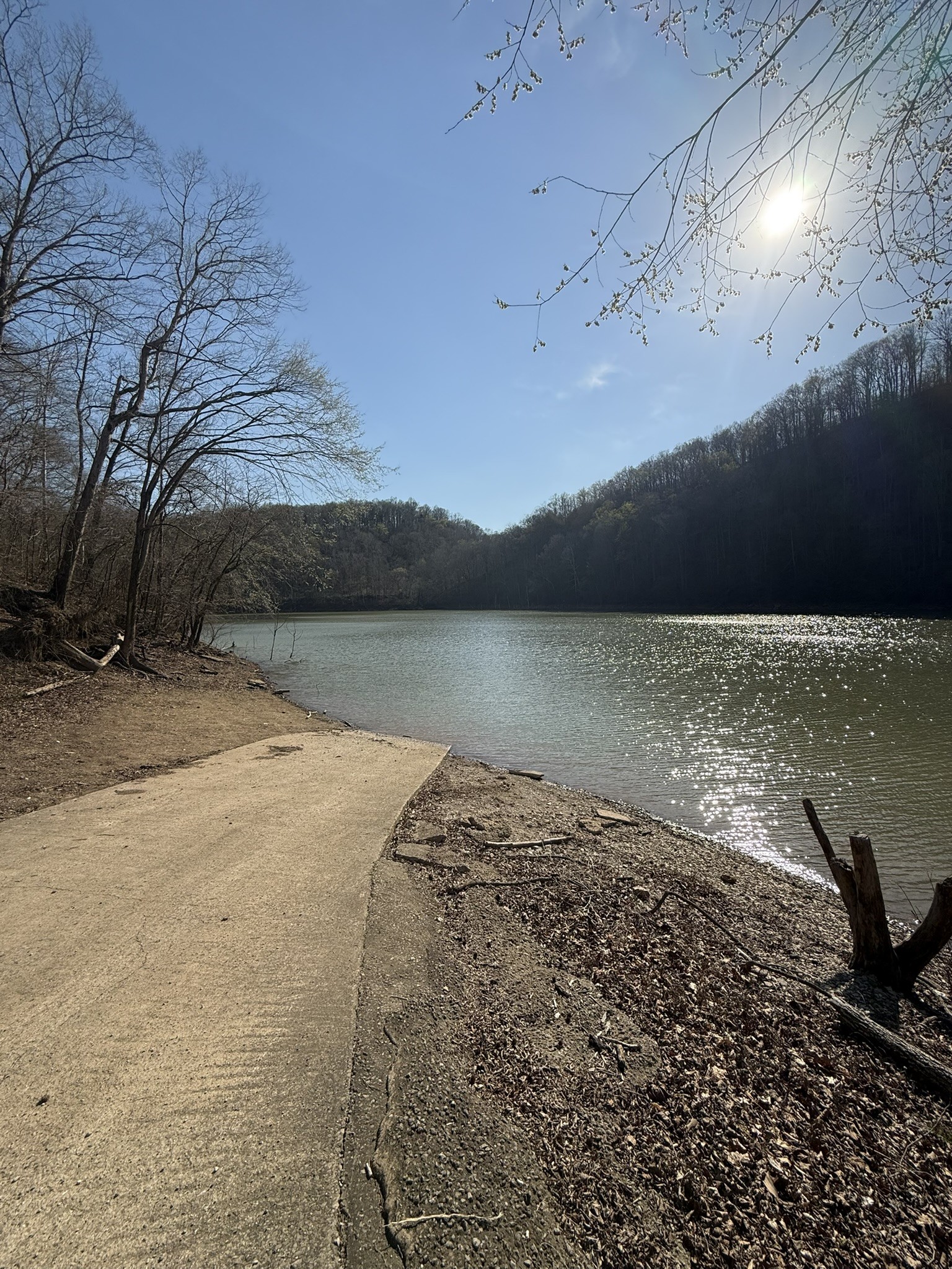 4291 Webbs Camp Road Walling, TN 38587 - Photo 4 of 90