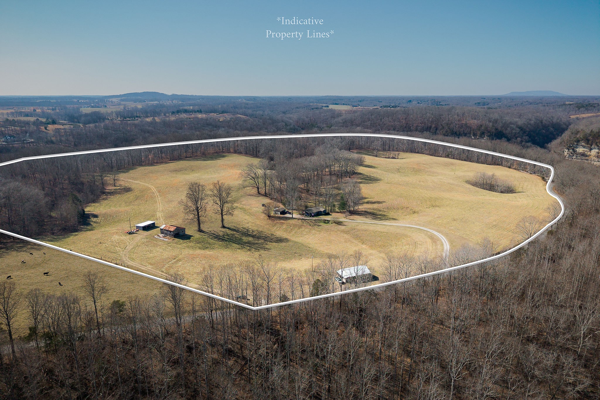 4291 Webbs Camp Road Walling, TN 38587 - Photo 5 of 90