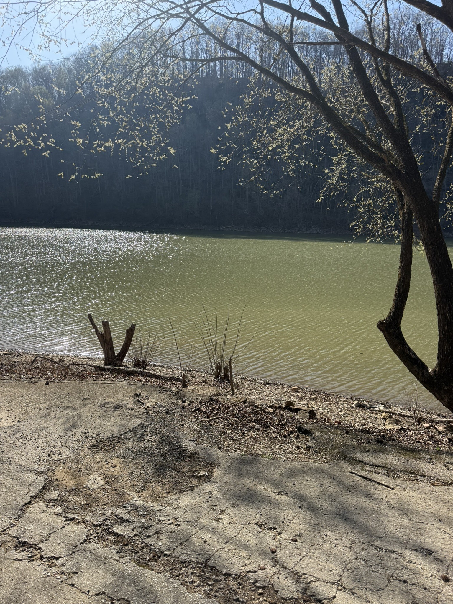 4291 Webbs Camp Road Walling, TN 38587 - Photo 88 of 89 a view of a lake view