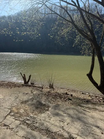 4291 Webbs Camp Road, Walling, TN 38587