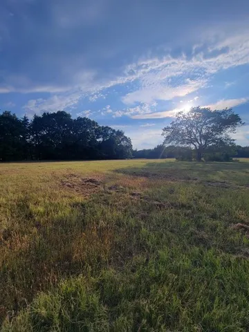 a view of outdoor space with trees