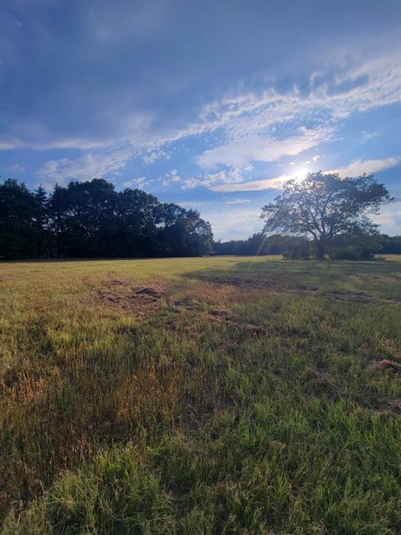 Tbd Tbd Fm-2029 Telephone, TX 75488 - Photo 2 of 5 a view of mountain with lake view